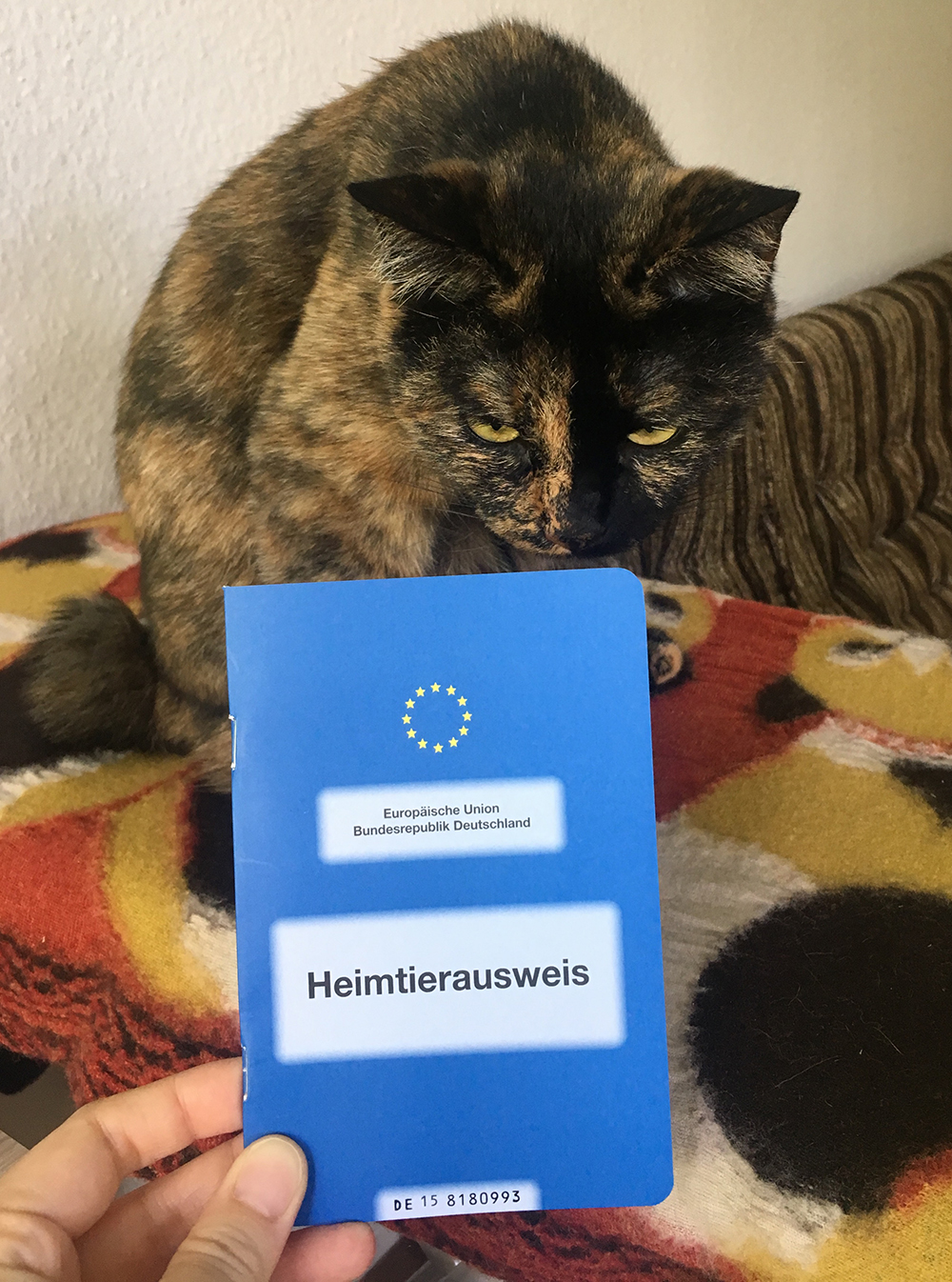 Heimtierausweis 英語でPet Passport