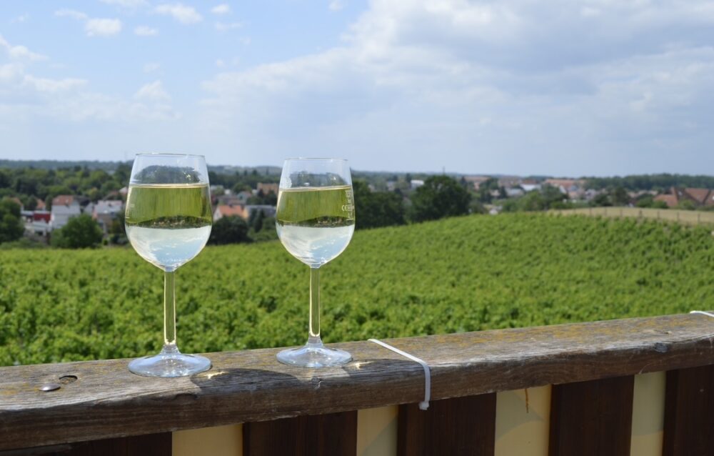 ベルリンから1時間！魅力ある港町Werder(Havel)でワインの収穫祭に参加しよう！